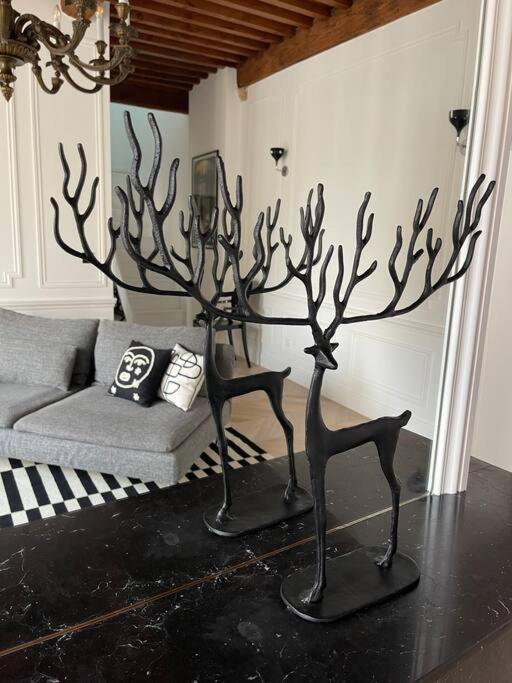 Le Grand Cerf By La Chambre A Cote Metz Kültér fotó